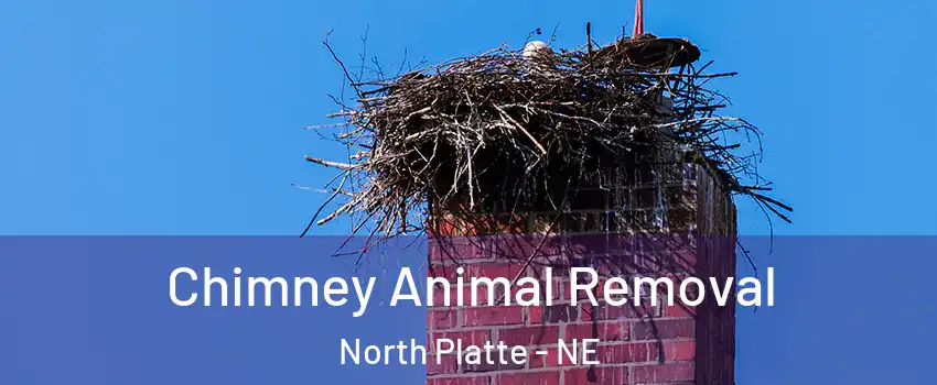  Chimney Animal Removal North Platte - NE