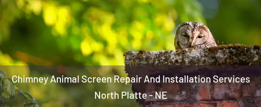  Chimney Animal Screen Repair And Installation Services North Platte - NE