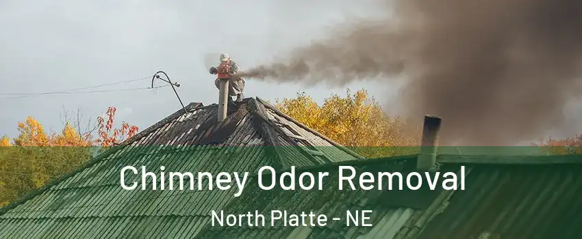  Chimney Odor Removal North Platte - NE