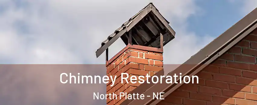  Chimney Restoration North Platte - NE