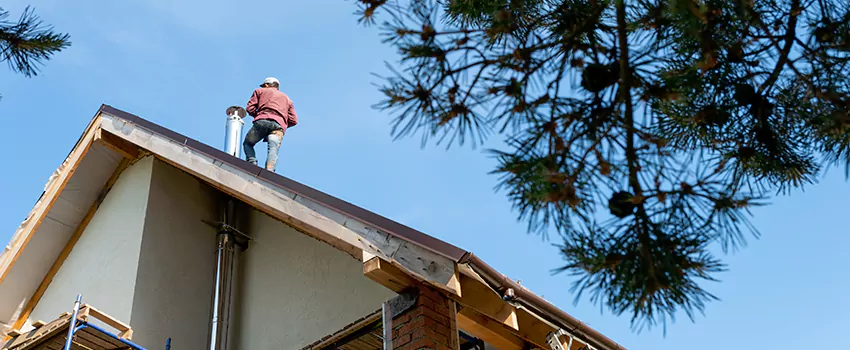 Birds Removal Contractors from Chimney in North Platte, NE