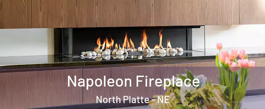  Napoleon Fireplace North Platte - NE
